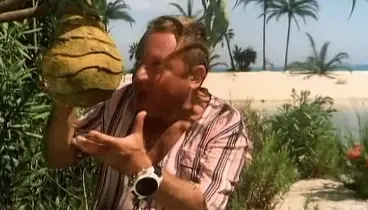 Как это убрать?