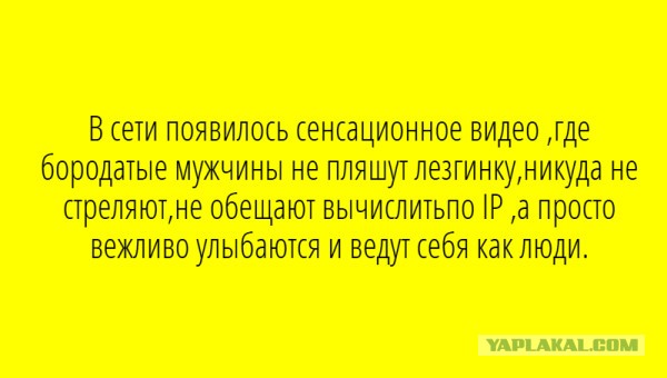 Веселое настроение в картинках (20.11.2025)