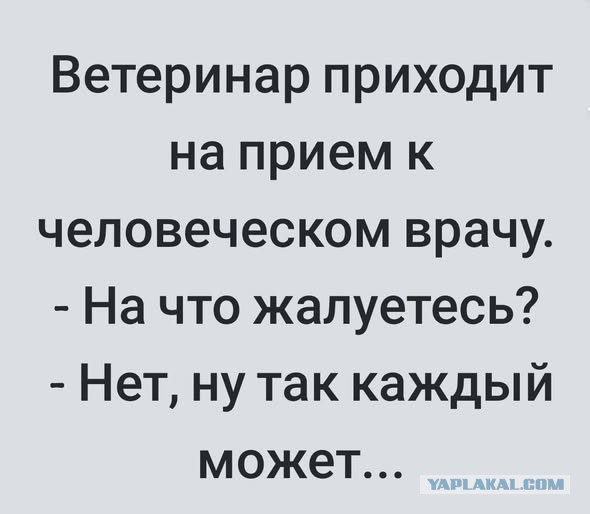 Понедельник наступил