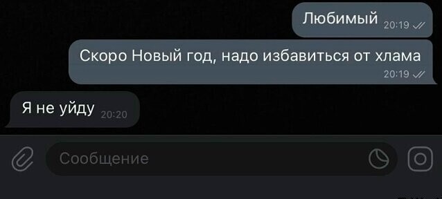 20562348.jpg