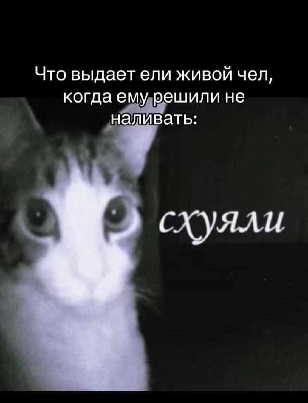 Картинки для деградации 91 (разной степени свежести)