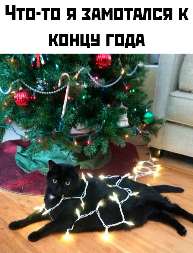 Воскресные картинки