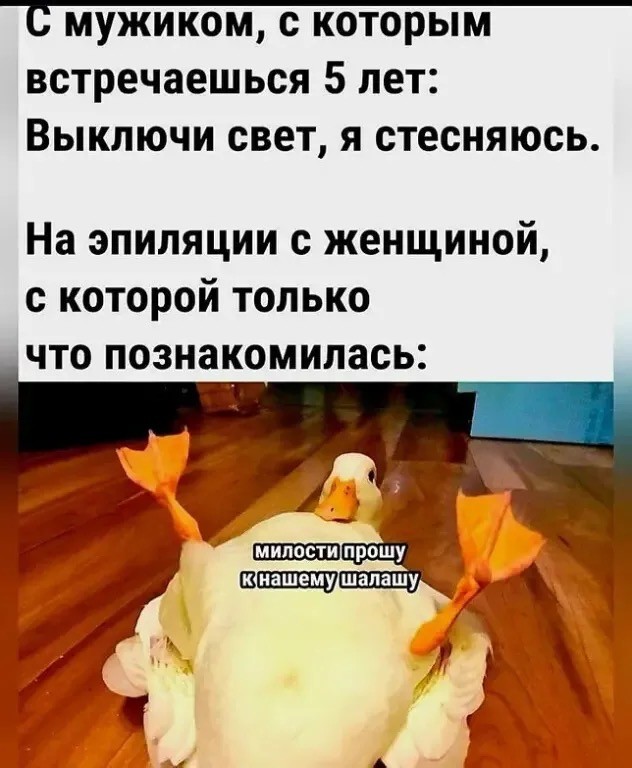 Картинки для деградации 126 (разной степени свежести)
