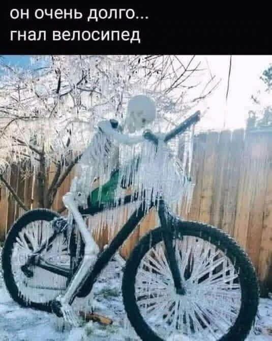 Воскресные картинки