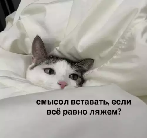 Так себе картинки 22.02.26