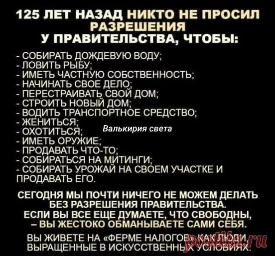 Картиночки, баянчики 27 февраля