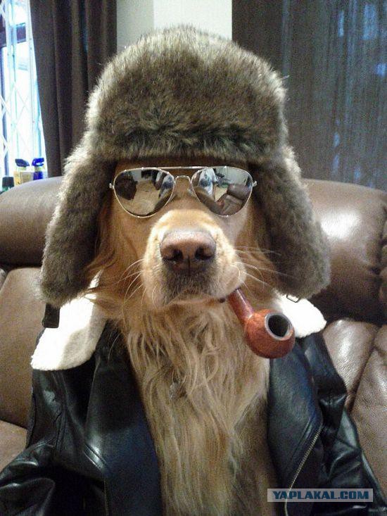 Суровый охотник