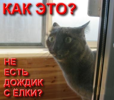Пустите домой, гады!