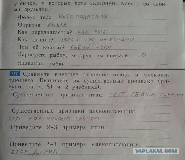 Смешные комментарии из социальных сетей