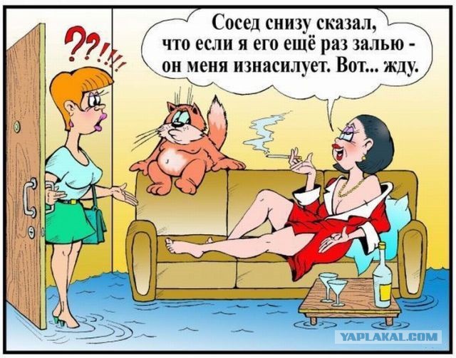 Правда жизни.