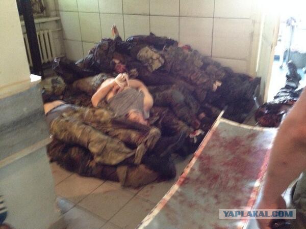 Герои Новороссии: Павел Губарев