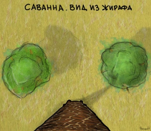 Картинки