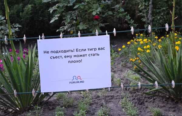 Позитив из зоопарка