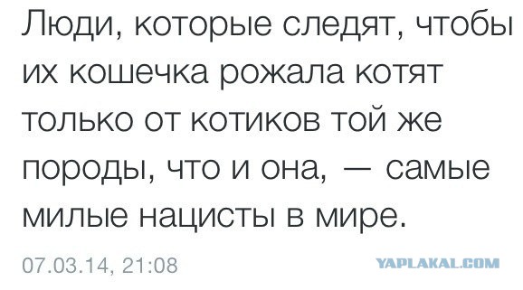 Ужасная правда про породистых собак