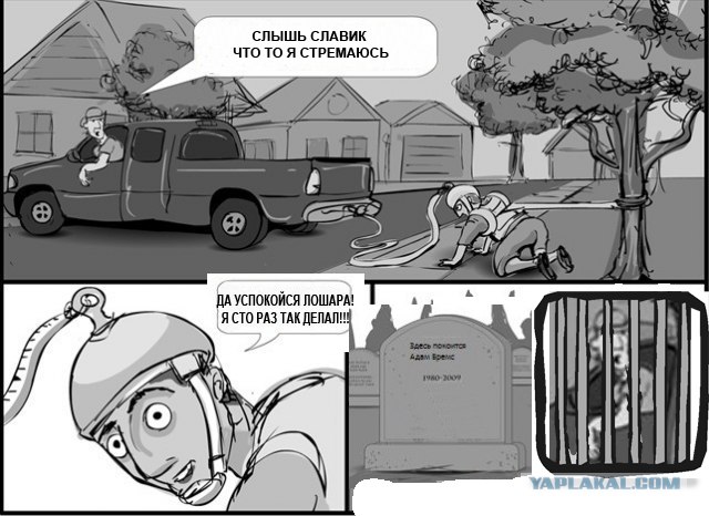 Невообразимая любовь к животным