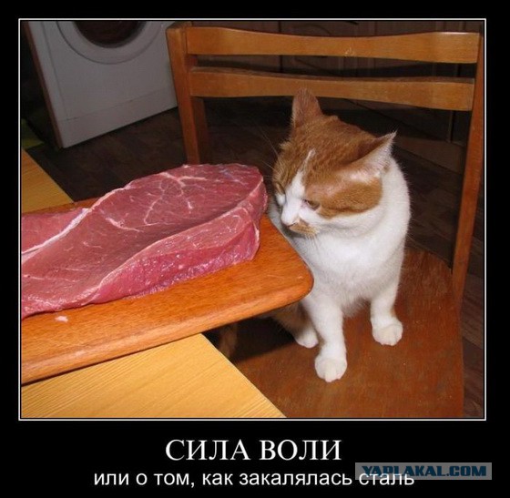 Демотиваторов пост, добавляйте свои