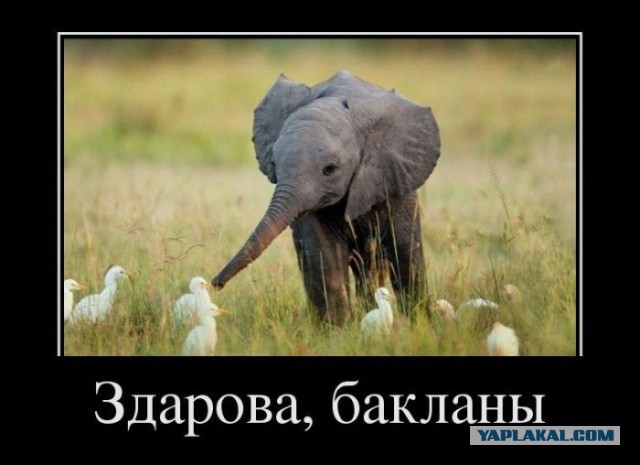 Горячие демотиваторы