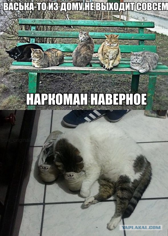 Картинки из сети для настроения