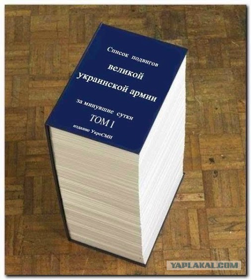 МОЛНИЯ от Стрелкова: