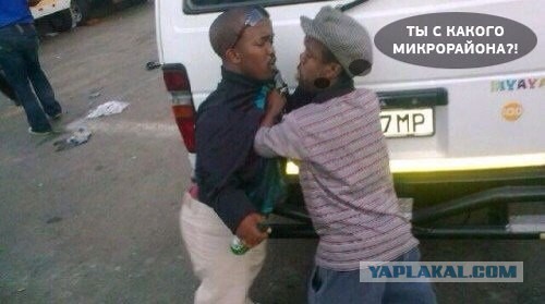 Смешные картинки