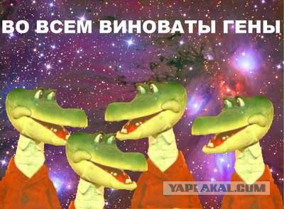 Эх, генетика... несправедливая ты сука!