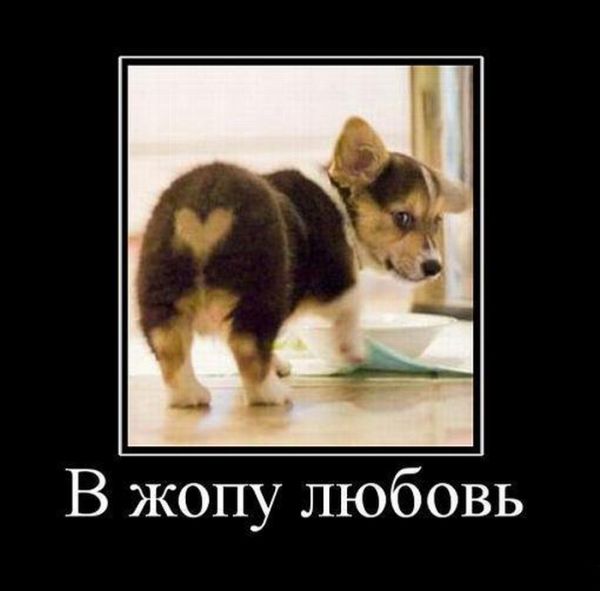 Кто о чем думает?