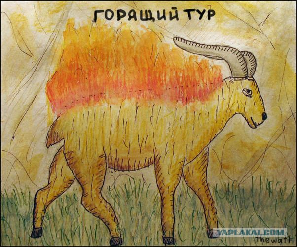 Просто картинки