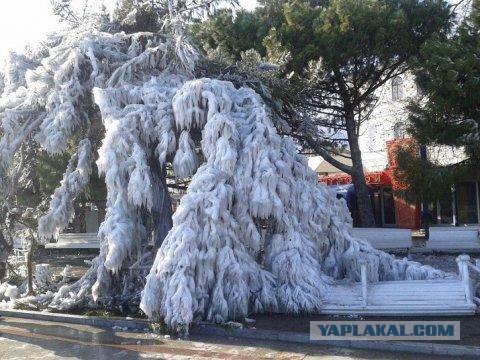 Черное море... замерзло!