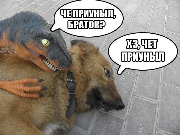 Подборка баянов.