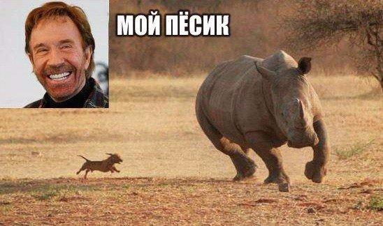 Сборник "баянов" со всего Интернета - 2