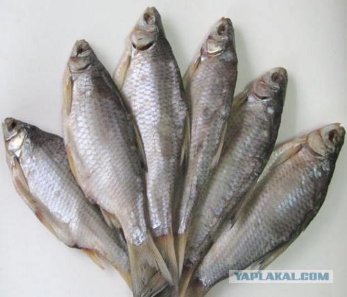 Коробка с мороженым