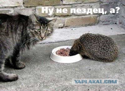 Немного картинок на вторник
