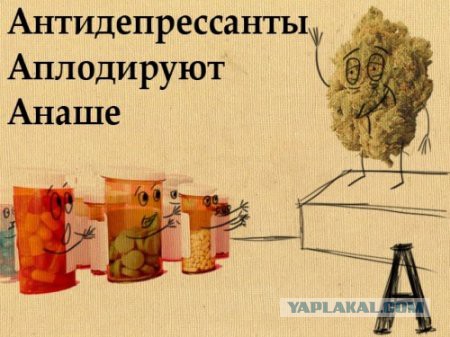 Обожаю игру слов