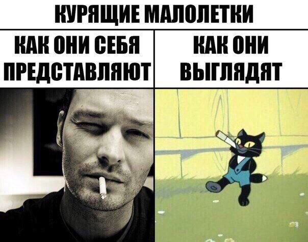 Картинки набрались разные