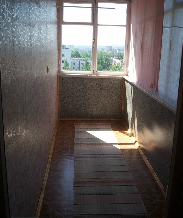 Дневник московского гастарбайтера