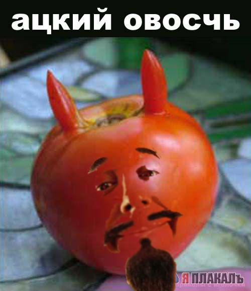 Эта сексуальная природа. РАСТЕНИЯ, ПЕЙЗАЖИ