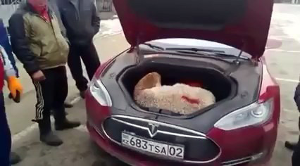 Первые покупатели начали получать Tesla Model X