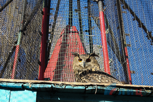 Донбасс. Луганск. События и лица ушедшего года