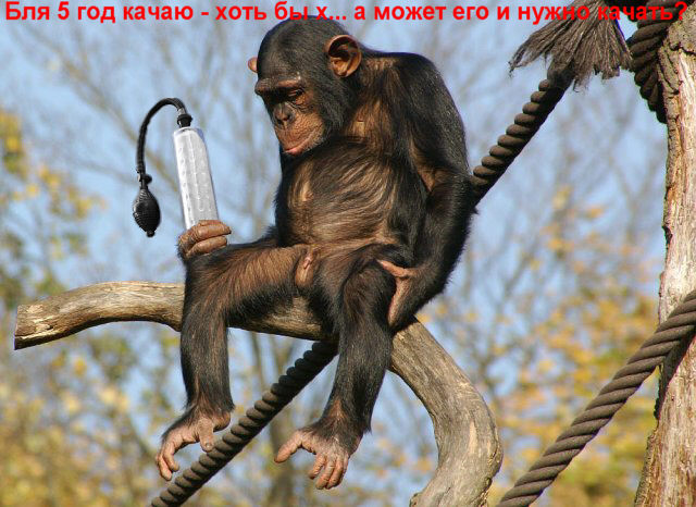 Грустный самец