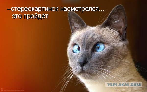 Перекрестные стереопары лето 2015