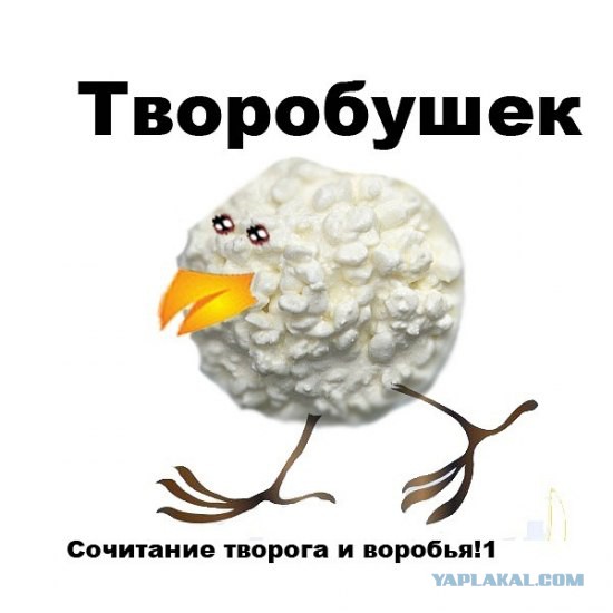 Минута хромосомного юмора