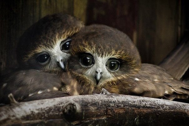 Красивая Россия