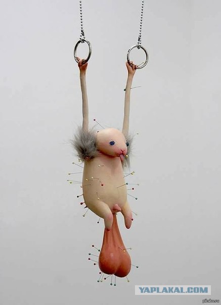 Уважаемый, у вас ус отклеился!