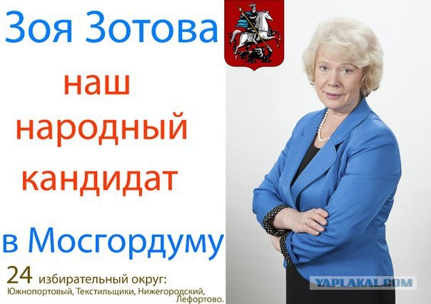 Депутат Мосгордумы предложила запретить кошек в котокафе