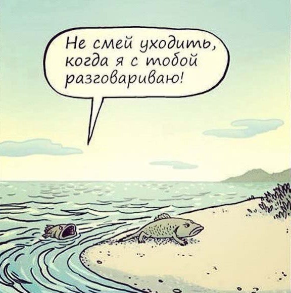Случайные картинки