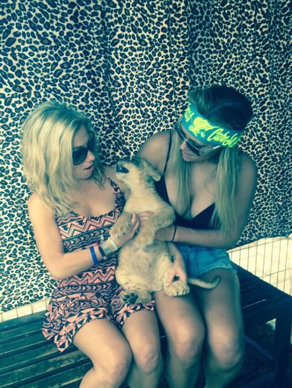 WTF: Что тут происходит?