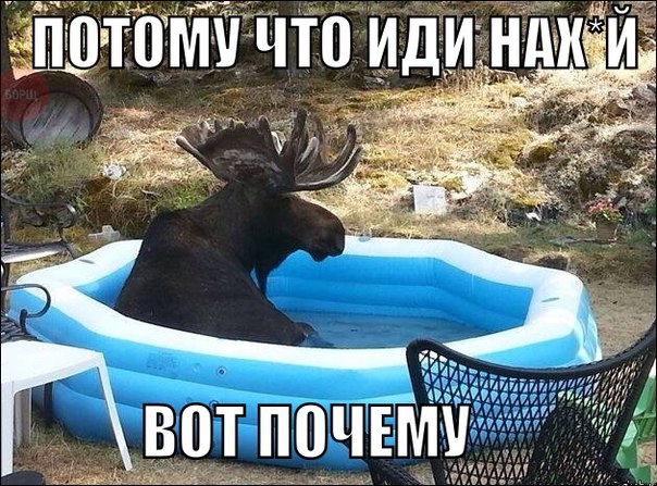 Майский черный юморок