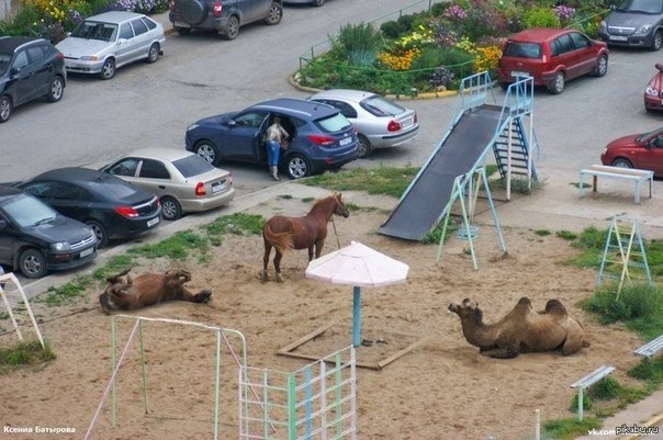 Подборка интересных и веселых картинок