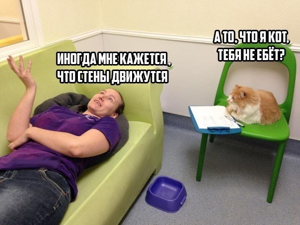 Картинки из этих ваших интернетов
