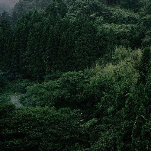 Картинки для отдыха глаз